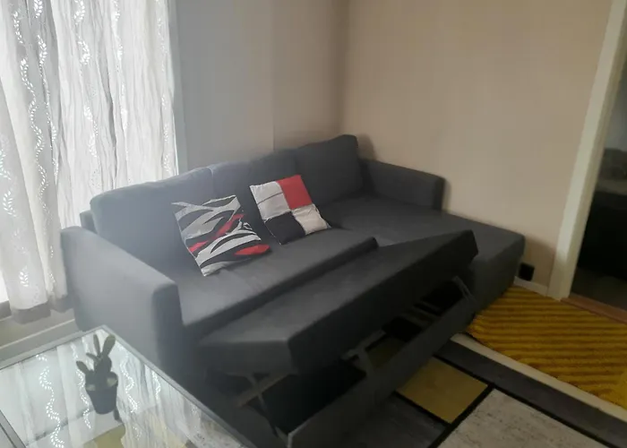Hanaborg Apartment